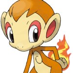 Chimchar