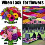 Meme with top caption "when i ask for flowers" and 2 section bel