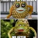 Ananas comparison | ME DURING FIRST DAY OF FRESHMEN; ME AFTER I GRADUATED | image tagged in ananas comparison,so true,college,relatable,funny | made w/ Imgflip meme maker