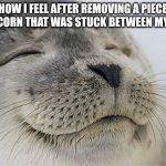 Satisfied Seal | HOW I FEEL AFTER REMOVING A PIECE OF POPCORN THAT WAS STUCK BETWEEN MY TEETH: | image tagged in memes,satisfied seal,popcorn,funny | made w/ Imgflip meme maker