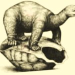 Democrats are like a turtle out of its shell