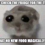 Welp, I'll check again in five minutes | ME WHEN I CHECK THE FRIDGE FOR THE TENTH TIME; AND SEE THAT NO NEW FOOD MAGICALLY APPEARED | image tagged in sad hamster,memes | made w/ Imgflip meme maker