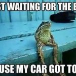 Waiting Frog