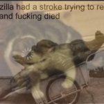 Godzilla had a stroke and loading cat