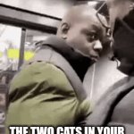 Golozer and Ritchie staring meme | THE TWO CATS IN YOUR NEIGHBORHOOD AT 3 AM: | image tagged in gifs,cats,memes,demotivationals | made w/ Imgflip video-to-gif maker