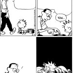 Calvin's dad explains everything is of two types