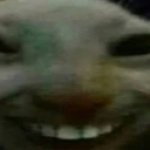 Creepy Cat