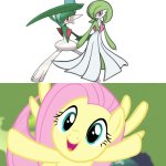 Even Fluttershy loves Gallade and Gardevoir as a couple | image tagged in very happy fluttershy mlp | made w/ Imgflip meme maker