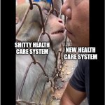 the kissing monkey | SHITTY HEALTH CARE SYSTEM; NEW HEALTH CARE SYSTEM | image tagged in kissing monkey | made w/ Imgflip meme maker