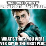 Harry Potter magic wand | *MAGIC WAND PEW PEW*
YOU WILL NOW FORGET THAT YOU WERE EVER GAY; WHAT'S THAT? YOU WERE NEVER GAY IN THE FIRST PLACE? | image tagged in harry potter magic wand | made w/ Imgflip meme maker