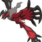 Yveltal 7