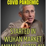 New study links COVID-19 to Wuhan market | LATEST STUDY SUGGESTS
COVID PANDEMIC; STARTED IN WUHAN MARKET ANIMALS AFTER ALL | image tagged in dr evil fauci,msm lies,china virus,covid-19,scumbag government,covid vaccine | made w/ Imgflip meme maker