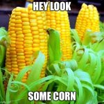 Nothing special here | HEY LOOK; SOME CORN | image tagged in corn meme | made w/ Imgflip meme maker