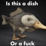 Is this a dish, or a F meme