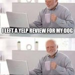 I left a yelp review for my dog | I LEFT A YELP REVIEW FOR MY DOG; I RATED HIM FIVE STARS | image tagged in memes,hide the pain harold,dogs,funny memes,funny,jpfan102504 | made w/ Imgflip meme maker