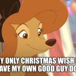 My only Christmas wish | MY ONLY CHRISTMAS WISH IS I HAVE MY OWN GOOD GUY DOLL | image tagged in dixie,jeszie destromp,the fox and the hound 2,mgm,united artists,reba mcentire | made w/ Imgflip meme maker