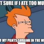 Futurama Fry | NOT SURE IF I ATE TOO MUCH; OR IF MY PANTS SHRANK IN THE WASH | image tagged in memes,futurama fry | made w/ Imgflip meme maker