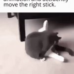 cat | image tagged in gifs,memes,funny,gaming,animals,cats | made w/ Imgflip video-to-gif maker