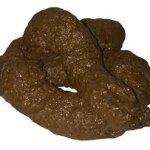 poo