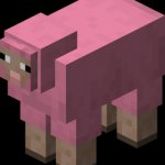 Minecraft Sheep