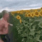 man punching sunflower