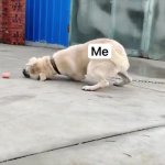 11 GIF Template