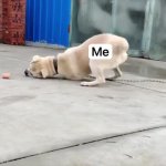 pp GIF Template