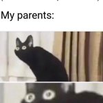 Has your parents got this happened? | Me: Did you get to sign your parent signatures for my school field trip permission slip? (The school field trip is tomorrow); My parents:; OH NO | image tagged in oh no black cat,memes,funny,school | made w/ Imgflip meme maker