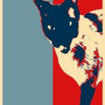 Vote for cats