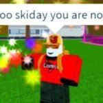 skidoo skiday