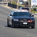 chp police car