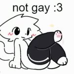 not gay :3 GIF Template