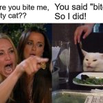 Bite me? | How dare you bite me,
you nasty cat?? You said "bite me!"
So I did! | image tagged in memes,woman yelling at cat | made w/ Imgflip meme maker