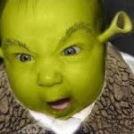 Baby asshrek