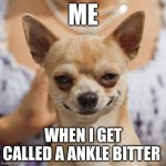 my 2 random nicknames are chihuahua and gremlin | ME; WHEN I GET CALLED A ANKLE BITTER | image tagged in evil dog smile smirk | made w/ Imgflip meme maker