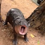HIPAA THE HIPPO VIOLATES HIPPA