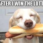 Satisfaction dog | GF AFTER I WIN THE LOTTERY | image tagged in satisfaction dog | made w/ Imgflip meme maker