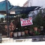 Mi meta como señora de las plantas