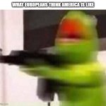 school shooter (muppet) | WHAT EUROPEANS THINK AMERICA IS LIKE | image tagged in school shooter muppet | made w/ Imgflip meme maker