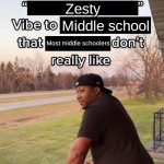 I Bring a Sort of X Vibe to the Y | Zesty; Middle school; Most middle schoolers | image tagged in i bring a sort of x vibe to the y | made w/ Imgflip meme maker