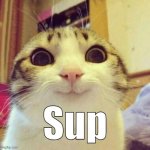 Sup Meme | Sup | image tagged in memes,smiling cat,sup,whats up,2010s,old memes | made w/ Imgflip meme maker