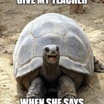 Silly turtle | THE LOOK I GIVE MY TEACHER; WHEN SHE SAYS I CAN SPEAK ENGLISH | image tagged in silly turtle | made w/ Imgflip meme maker