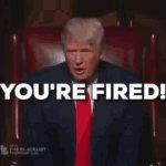 Trump You're Fired!