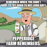 Can't even breathe without some form of media saying it's gay. | REMEMBER WHEN YOU DIDN'T HAVE TO TRY HARD TO NOT LOOK GAY? PEPPERIDGE FARM REMEMBERS. | image tagged in memes,pepperidge farm remembers,relatable | made w/ Imgflip meme maker