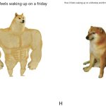 Factual | How it feels waking up on a friday; How it feels waking up on a Monday and thinking it's Friday; H | image tagged in memes,buff doge vs cheems | made w/ Imgflip meme maker