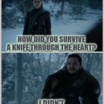 How did you survive a knife through the heart? | HOW DID YOU SURVIVE A KNIFE THROUGH THE HEART? I DIDN'T. | image tagged in how did you survive,arya and jon,game of thrones,arya stark,jon snow,winterfell | made w/ Imgflip meme maker