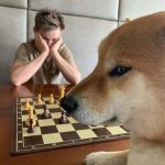 Dog Playing Chess