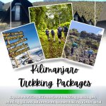 Kilimanjaro Trekking Packages