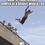 Moms be like | MOM: IF YOUR FRIENDS JUMPED OF A BRIDGE WOULD YOU; ME: | image tagged in guy jumps off bridge | made w/ Imgflip meme maker