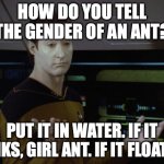 Data Tells Ant Joke | HOW DO YOU TELL THE GENDER OF AN ANT? PUT IT IN WATER. IF IT SINKS, GIRL ANT. IF IT FLOATS... | image tagged in shrug data | made w/ Imgflip meme maker